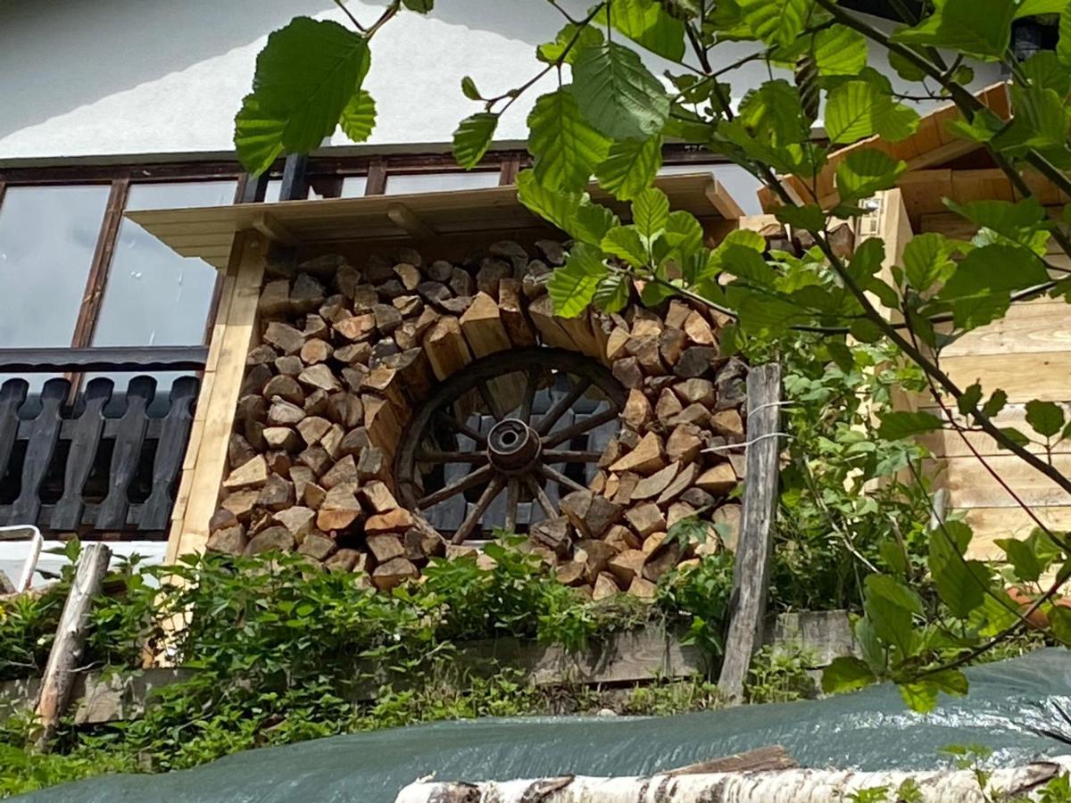 La Irmania Pension Ledenitzen Exterior photo